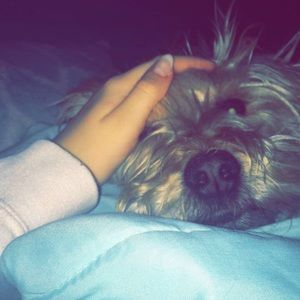 Meet your Posher, Marcie